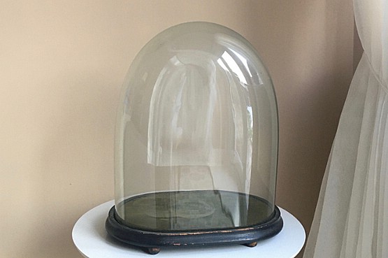 ☑️ Victorian glass display domes - various sizes and shapes available 